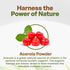 Go Nutra Organic Acerola Powder - Freeze Dried 18% Vitamin C Powder from Brazil - 8oz
