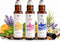 Yuganify Essential Oil Roll On Set (3 Pack) Sleep, Stress Relief & Revive