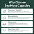 Wild Sea Moss Capsules - 100% Organic Irish Sea Moss with Chlorella, Bladderwrack, Vitamin D for Energy, Lung Health,