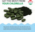 Sun Chlorella 500mg Whole Body Wellness Green Algae Superfood Supplement - 120 Tablets for Immune Defense and Gut Health