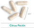 Nutricology Modified Citrus Pectin, Vegicaps, 120-Count