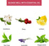 Sedbuwza Peony Essential Oil, Pure Organic Peony Fragrance Oil for Diffuser, Humidifier, Soap, Candle, Perfume