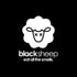 Black Sheep Bamboo Charcoal Natural Air Purifying Bag - Eliminates Odors in Homes, Cars, Bags, Shoes, 200g (4)