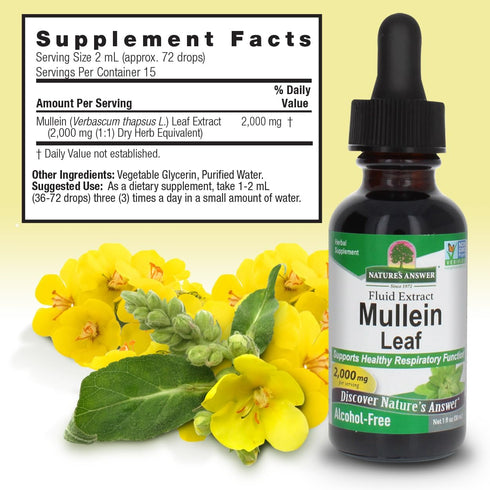 Nature's Answer Mullein Herb, 1 oz Extract, Alcohol Free, Non-GMO, Supports Respiratory Function