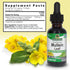 Nature's Answer Mullein Herb, 1 oz Extract, Alcohol Free, Non-GMO, Supports Respiratory Function