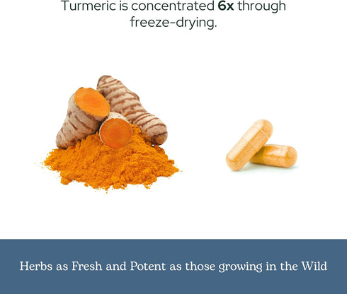 ECLECTIC INSTITUTE Raw Freeze-Dried Turmeric, 90 CT (395 mg), US Grown, Vegetarian, Non-GMO