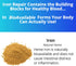 Iron Repair Simply Natural Iron Supplement - Best Absorption for Women, Men, Teens & Pregnancy - 90 Gelatin Capsules