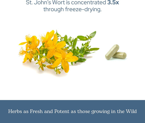 Immune (120 300 Eclectic Herb - St. John's Wort Capsules | Nervous System & Support | Promotes a Positive Mood | Vegan