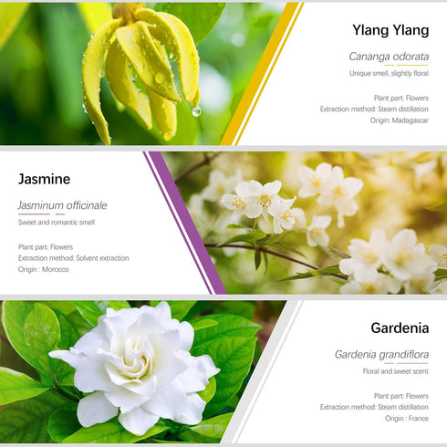 ESSLUX Essential Oils Set for Diffuser, Massage & Candle Making - Natural Scents, 6 * 10ml - Rose, Jasmine, Gardenia,