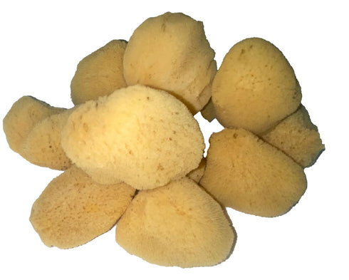 Soft Natural 6 Silk Sponges, Cosmetic Makeup Application Removal for Face, Eye, Nail Cleaning