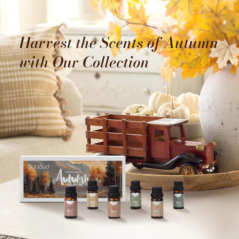 Set, 6 10mL JCLOUD Fall Essential Oils for Diffusers for Home, Autumn Scented Fragrance Oils Gift Incl. Black Vanilla