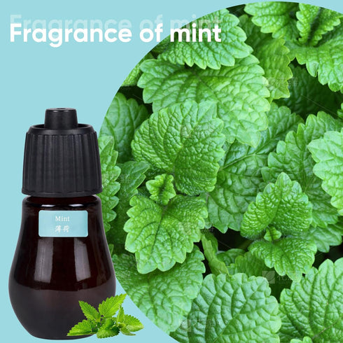 3-Pack Essential Oil Kit - HAPPTWS Diffuser Oil Use Mint, Tea Tree, Lavender