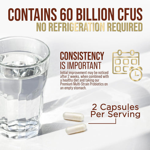Probiotics 60 Billion CFU - 10 Probiotic Strains, Prebiotics, & Digestive Enzymes - Supports Immune & Digestive Health