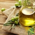 Olive Leaf C/S | Cut & Sifted | Olea Europaea | Wildcrafted | 4oz