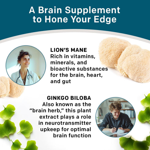 14-in-1 Lions Mane Supplement Capsules - Nootropic Brain Support with Ginkgo Biloba, 1300mg per Serving