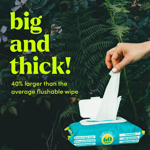 Goodwipes 360 Count Flushable & Plant-Based Wipes with Botanicals | Shea-Coco with Aloe, Septic Safe Dispenser