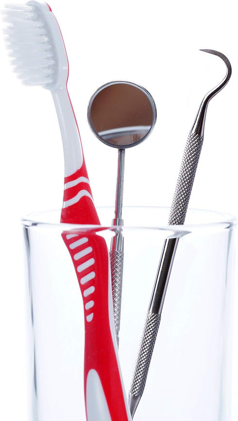 Dental Plaque Remover Tool - Stainless Steel Tooth Scraper for Tartar and Plaque Removal, Dentist's Dental Scaler