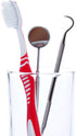 Dental Plaque Remover Tool - Stainless Steel Tooth Scraper for Tartar and Plaque Removal, Dentist's Dental Scaler