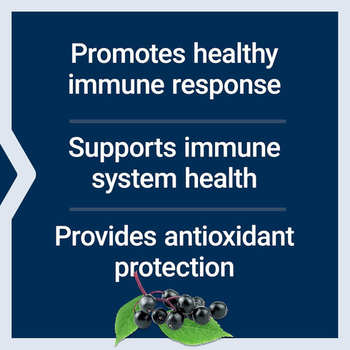 Life Extension Black Elderberry + Vitamin C, Everyday Immune Support, Gluten Free, Non-GMO, Vegetarian, 60 Capsules