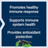 Life Extension Black Elderberry + Vitamin C, Everyday Immune Support, Gluten Free, Non-GMO, Vegetarian, 60 Capsules