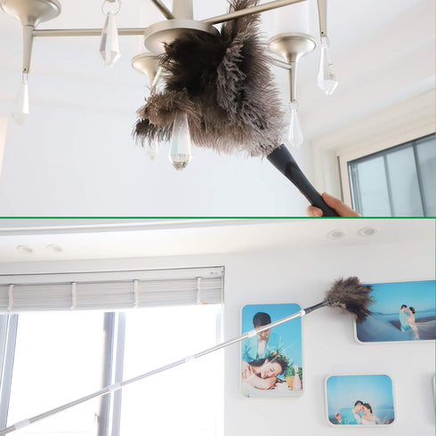 Gray Ostrich Feather Duster, 71 Inch Extendable Pole for Home Cleaning