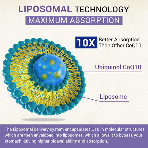 Liposomal Ubiquinol CoQ10 800 MG Softgel | High Absorption CoQ10 Supplement | Powerful Antioxidant for Heart & Brain