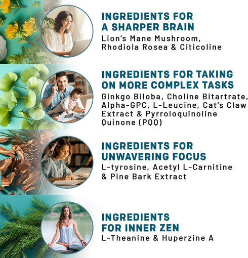 14-in-1 Lions Mane Supplement Capsules, Nootropic Brain Support with Ginkgo Biloba, 2pk