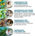 14-in-1 Lions Mane Supplement Capsules, Nootropic Brain Support with Ginkgo Biloba, 2pk
