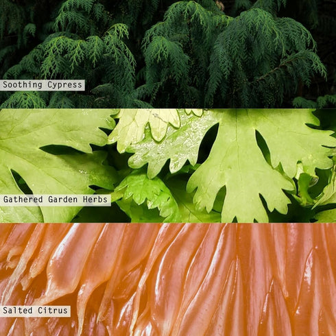 Illume Hinoki Sage Aromatic Diffuser - Beautifully Done Essentials