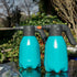 Electric Spray Bottle 2L/0.5 Gallon - Automatic Plant Mister Spray Bottle for Indoor/Outdoor Plants, Rechargeable