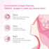 Collagen Peptides Capsule, Hydrolyzed Collagen Powder for Hair, Skin, Nail & Joint Support, 100 Capsules