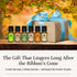 P&J Fragrance Oil Halloween Set | Autumn Wreath, Pumpkin Pie, Candy Corn, Marshmallow, Night Air, Caramel Corn