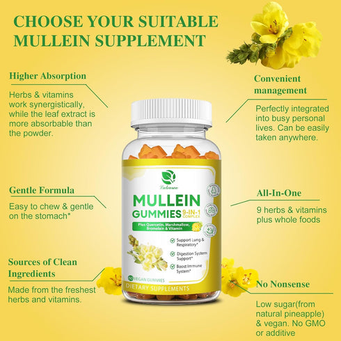 (2 Pack) 9 in 1 Mullein Gummies for Lung Cleanse, Extra Strength 10000MG Mullein Leaf Extract with Quercetin - 120 Ct