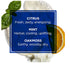 Jack Black Body & Hair Cleanser, Men's Body Wash, Shampoo, Sulfate-Free