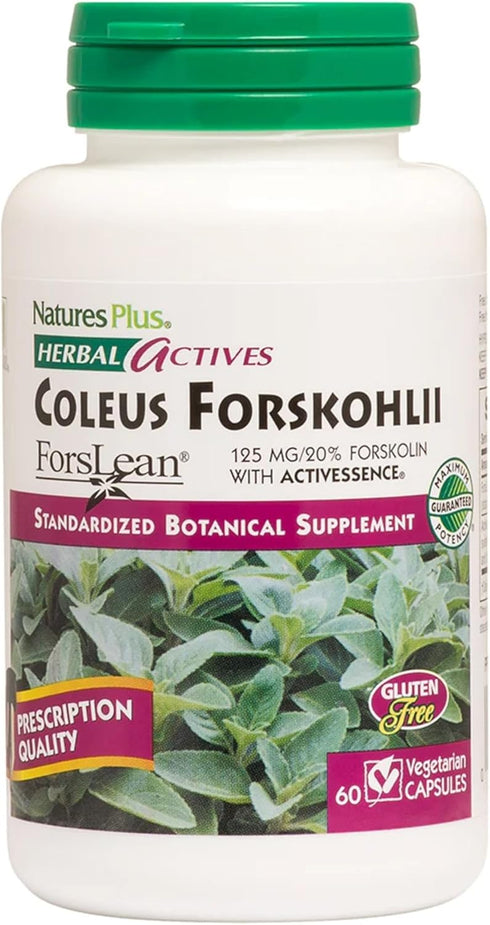Natures Plus Herbal Actives Coleus Forskohlii, 60 Vegetarian Capsules, Gluten Free