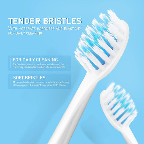 LOLIPPYY 5 Electric Toothbrush for Adults, Vibration Soft Bristle Tooth Brush with Replacement Heads, Waterproof