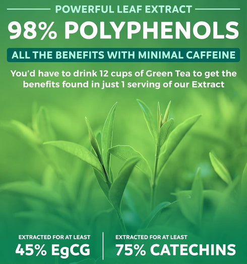 Green Tea Extract Capsules 98% with EGCG - 120 Count (Non-GMO) for Natural Metabolism Boost - Leaf Polyphenol Catechins - Antioxidant Supplement - Green Tea Pills - 1000mg (500mg per Capsule)