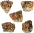 mookaitedecor Natural Raw Amber Calcite Crystal Cluster, Geode Stone Mineral Specimen for Reiki Healing Home Decoration