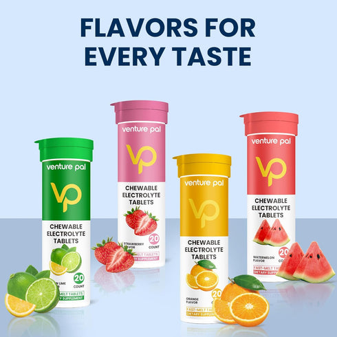 Venture Pal Chewable Electrolyte Tablets, Sugar-Free Stick Salt Tablets - Variety Pack (80 Count)