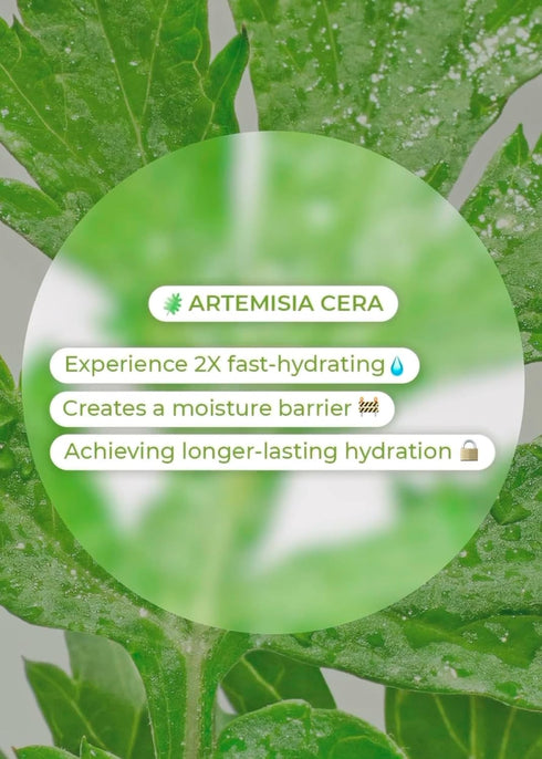 Bring Green Artemisia Cera Calming Moisture Toner | Daily Skincare for Redness Relief, 8.45 Fl. Oz., 250ml