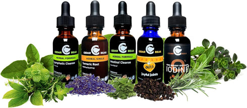 Cedar Bear Chanca Piedra Liquid Herbal Supplement - 1 Fl Oz