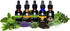 Cedar Bear Chanca Piedra Liquid Herbal Supplement - 1 Fl Oz