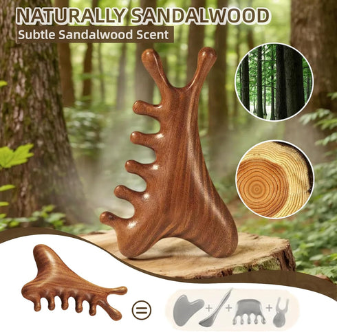lyvantha 4-in-1 Sandalwood Gua Sha Tool - Valentines Day Gifts for Women, Mom, Wife, Girlfriend | Wooden Scalp & Face
