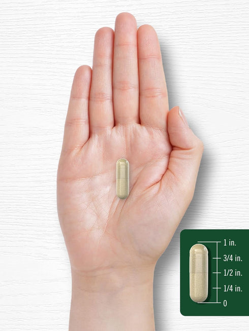 Carlyle Sage Supplement 1600mg, 180 Capsules, High Potency, Non-GMO, Gluten Free