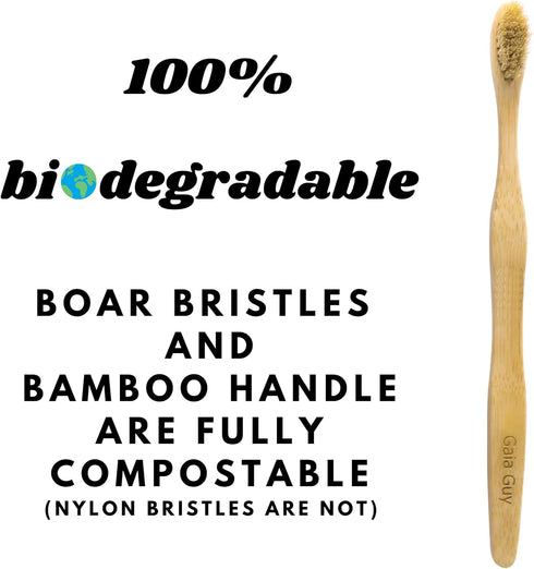 Gaia Guy Natural Bristle Bamboo Toothbrush with Boar Bristles - Biodegradable and Compostable, Zero Waste 12-Pack