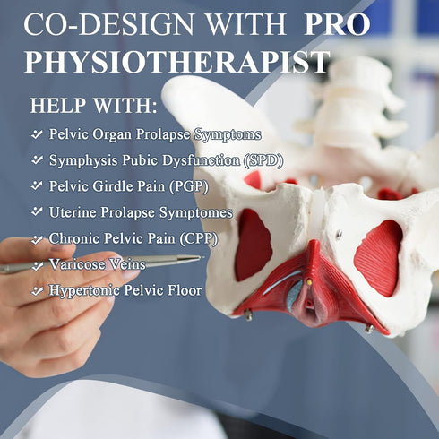 Pelvic Support Belt for Prolapse with V-Sling for Pregnancy SPD, Vulvar Varicosities, LCS, Pelvic Floor, Organ Prolapse
