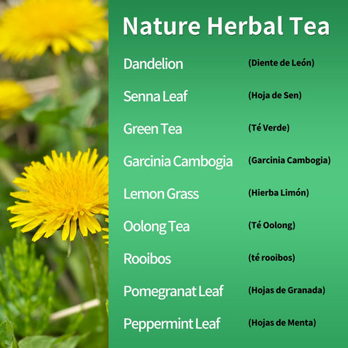 Herbmood 30 30Count (Pack 2) Te de Diente de Leon Day Cleanse Dandelion Tea, Natural Herbs Tea Bags para Perder Peso