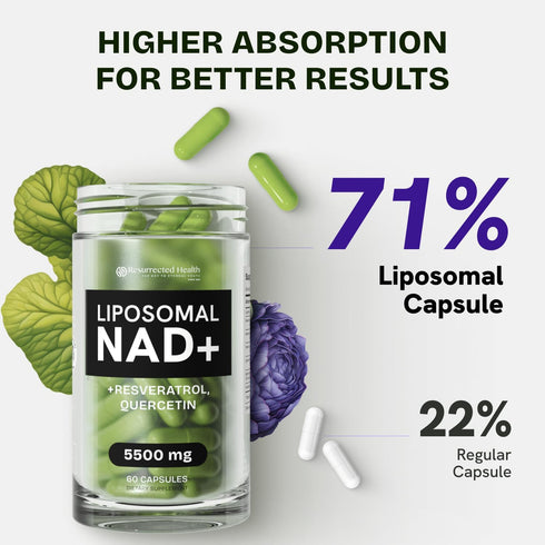 NMN Supplement Alternative, High Absorption NAD, Resveratrol, Berberine, 60 Capsules