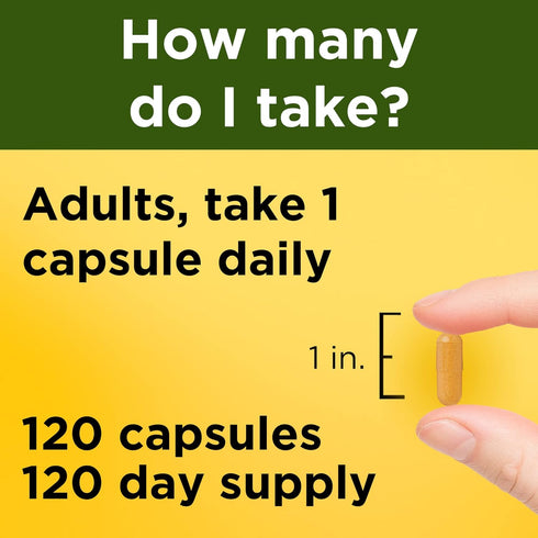Nature Made Turmeric Curcumin 500 mg - 120 Capsules, Herbal Supplement for Antioxidant Support