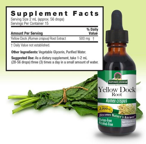 Nature's Answer Yellow Dock Root Alcohol Free 2000mg 1oz | Natural Body Detox, Supports Digestion, Gluten-Free